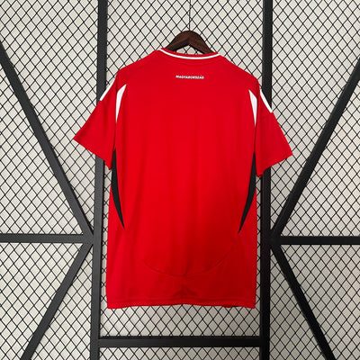 Maillot Hongrie Domicile 2024 2025