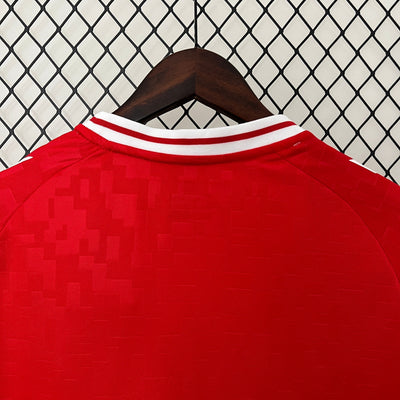 Maillot Danemark Domicile 2024/2025