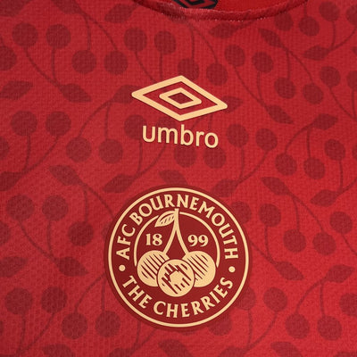 Bournemouth  Maillot 2024/25 Edition Spécial Rouge